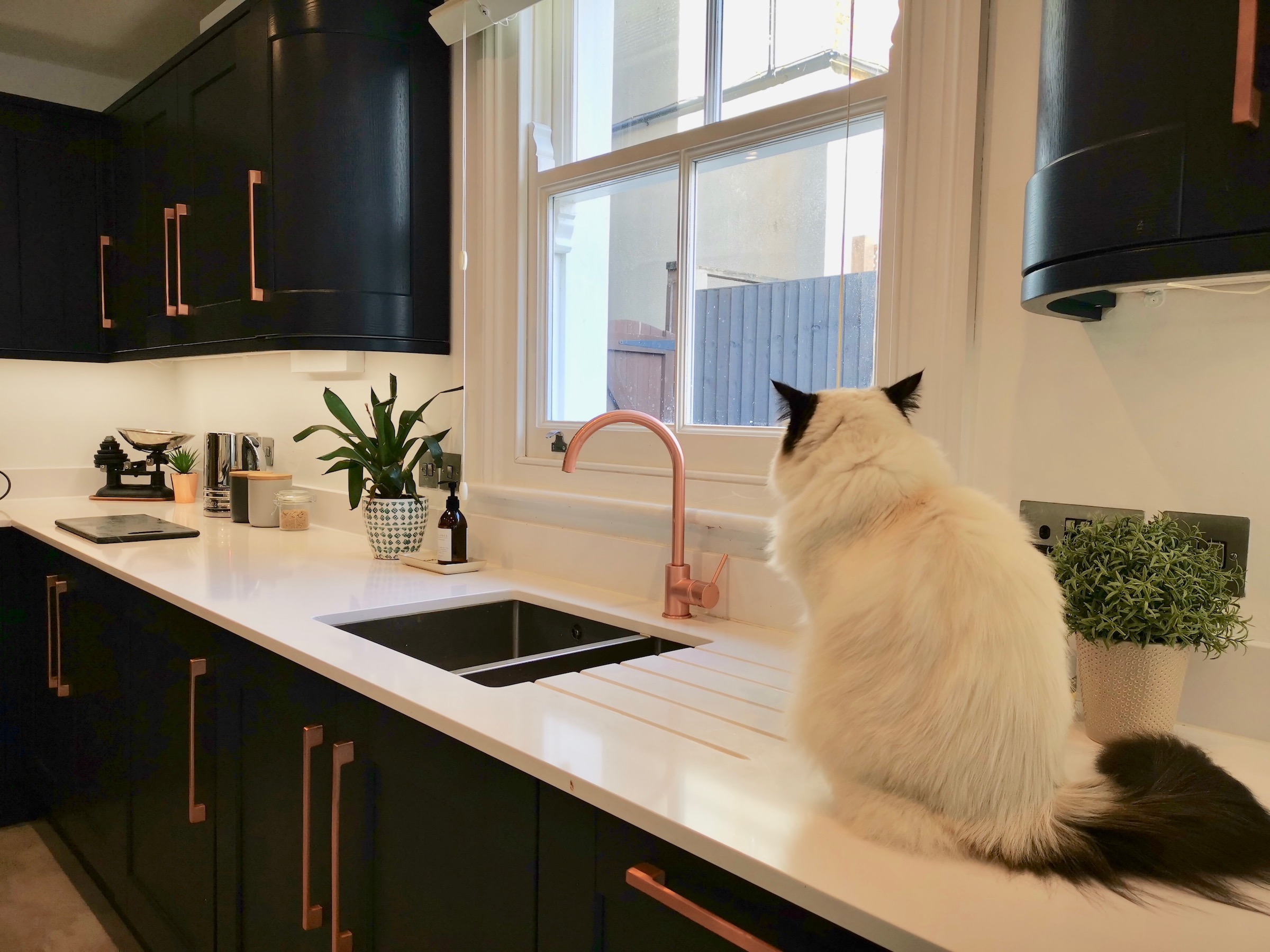 moylan interiors